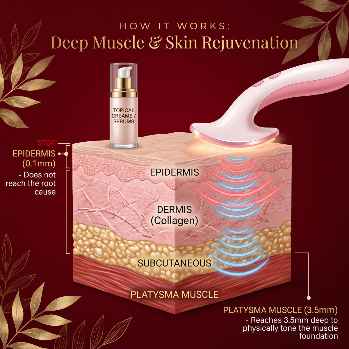 Diagram: creams stop at the skin's surface while microcurrent reaches the platysma muscle